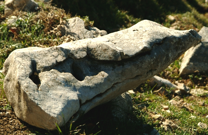 Sculture naturali